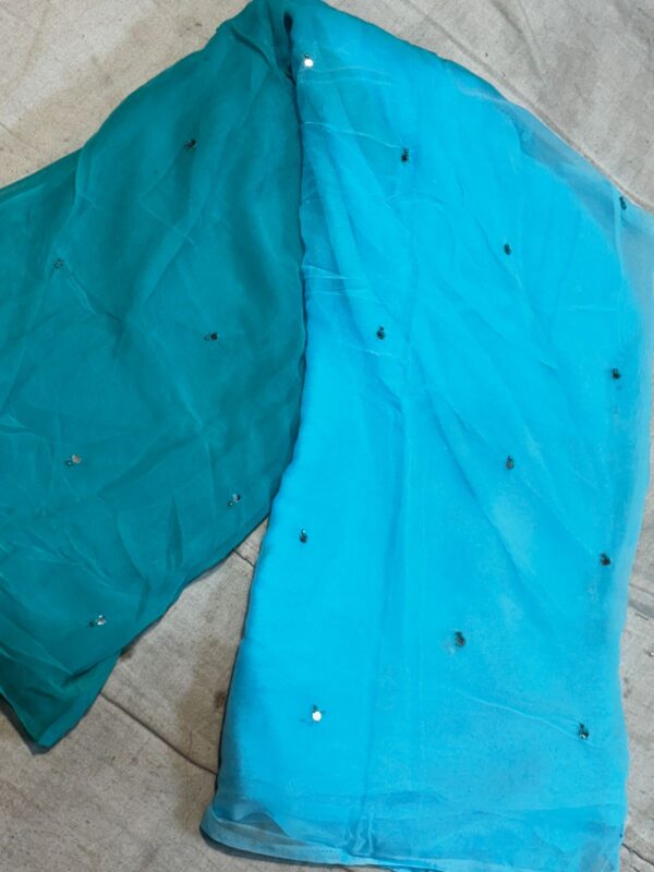 Chiffon Saree with Blouse